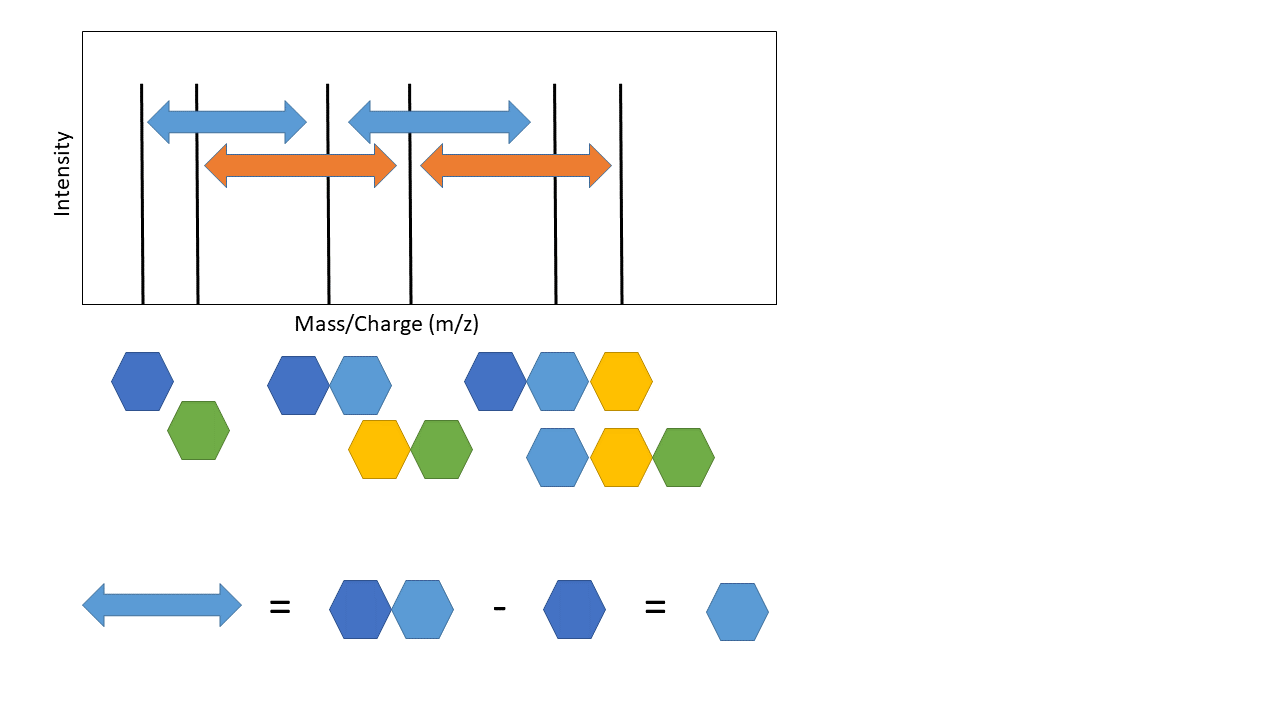 second image of de novo schematic