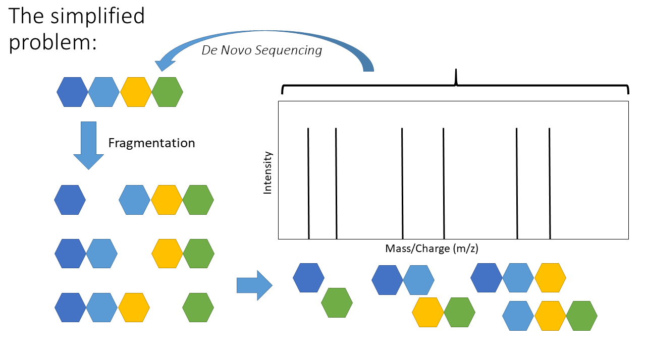 first image of de novo schematic